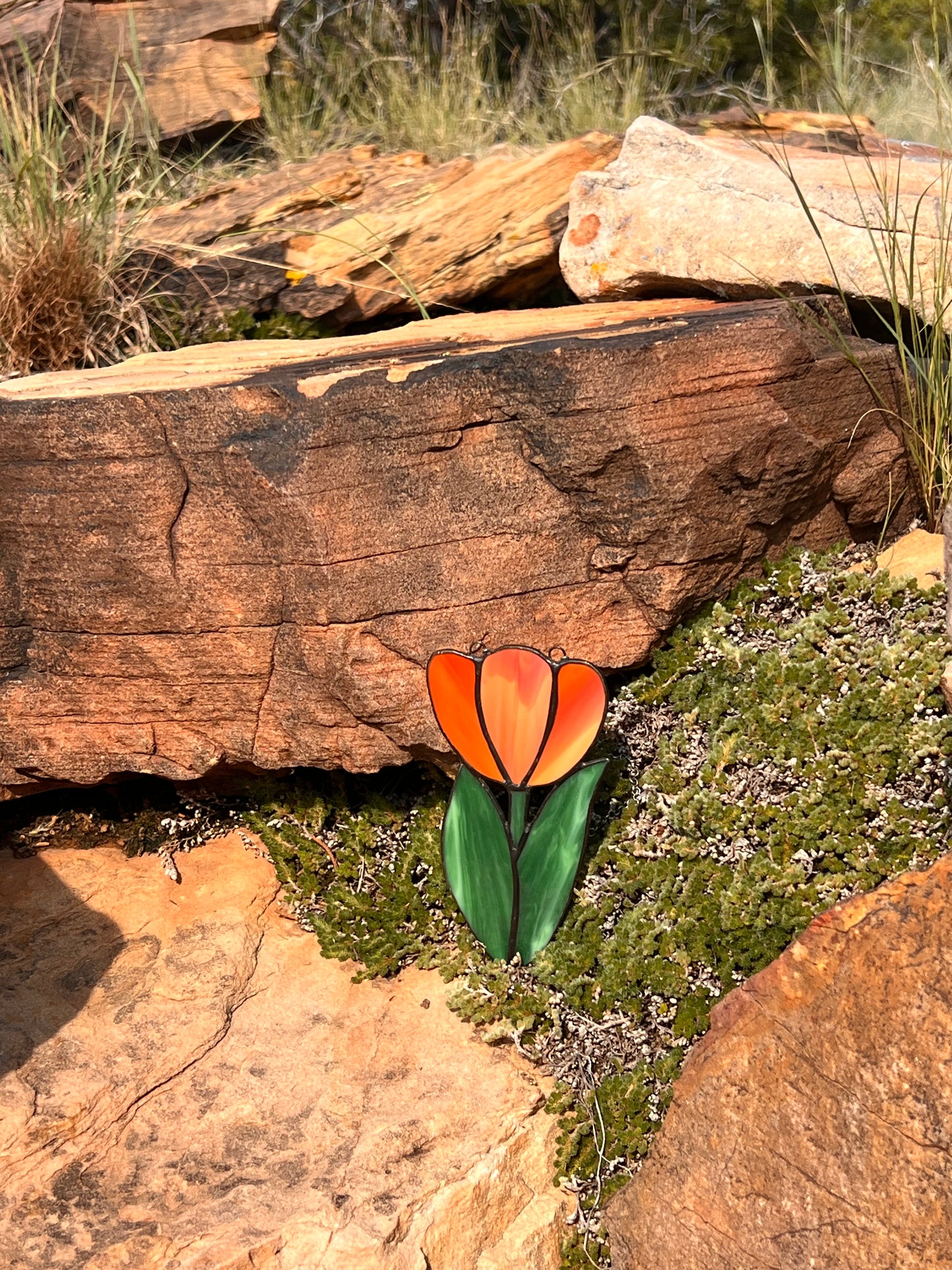 Santa Rosa: Stained Glass Sun Catcher Workshop